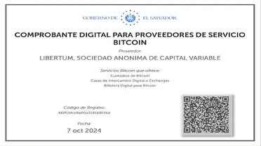 Bitcoin Service Provider License